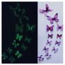 Butterflies Image 2