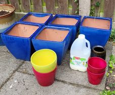 Garden Pots