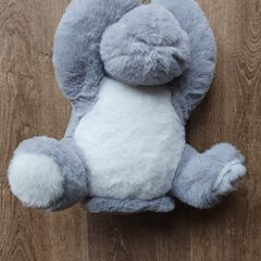 Peekaboo toy