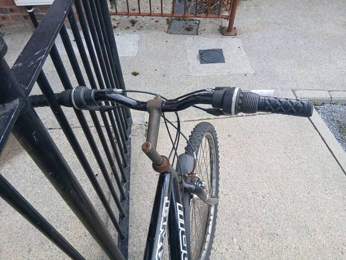 Adults Bike