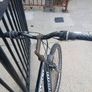 Adults Bike Image 2