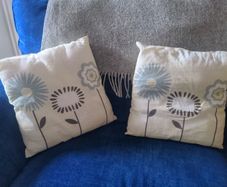 Vintage cushions x2