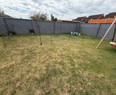 chicken fencing