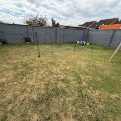 chicken fencing