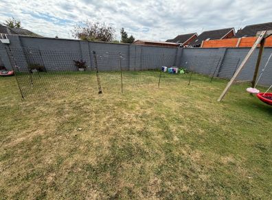 chicken fencing