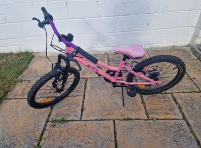 Avoca Mountain Bike 20 inch