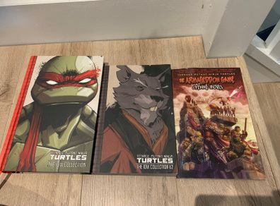 TMNT comics and figures