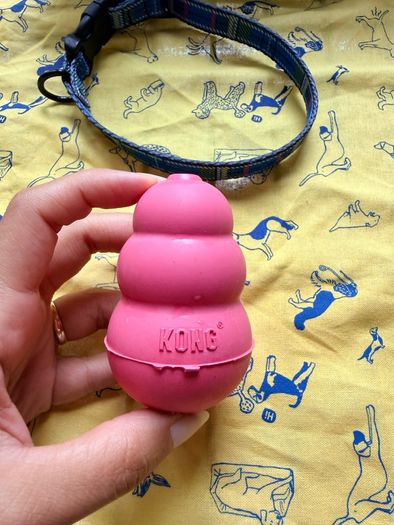Puppy set accessories