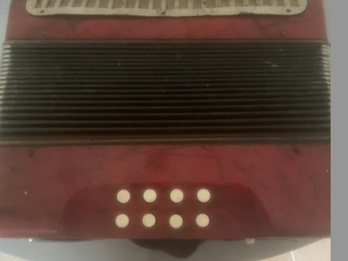 Hohner Accordion