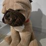 Large Bulldog Soft Toy Image 2