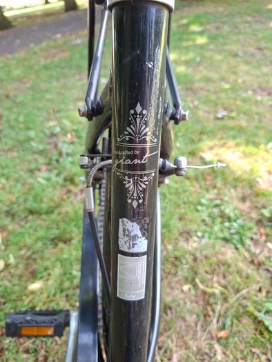Liv Flourish 1 city bike by Giant - Medium
