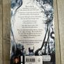The Ocean at the End of the Lane, Neil Gaiman, Illustrated Edition (Elise Hurst) Image 2