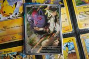 N's Zorua ! Sealed ! Journey Together Promo ! 2025 ! Pokemon Card !