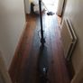 Xiaomi Electric Scooter MI Pro 2 Image 4