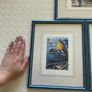 pictures Image 6