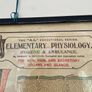 Vintage Poster Anatomical Wall Chart 1940s Image 4