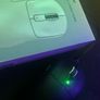 mice Image 2