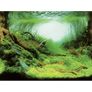 Plants - Ocean background 60x30cm Image 2