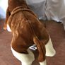 Vintage Huggies Soft Basset Hound Image 5