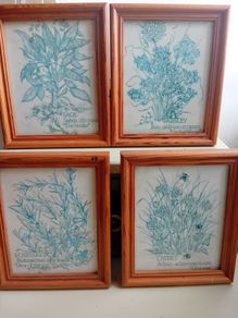 4 x vintage botanical frames