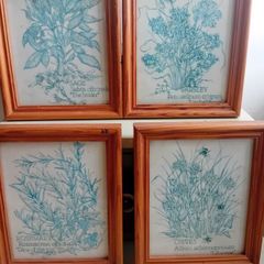 4 x vintage botanical frames