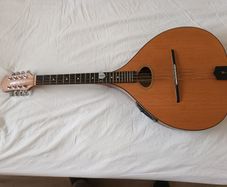 Dave Freshwater octave mandolin