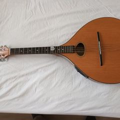 Dave Freshwater octave mandolin