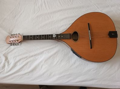 Dave Freshwater octave mandolin
