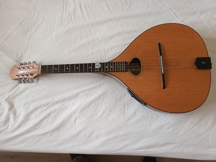 Dave Freshwater octave mandolin
