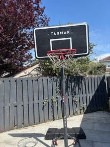 Basketball Net