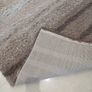 rug Image 3