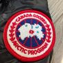 Canada goose hybridge Image 3