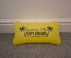 Blow Up Pillow