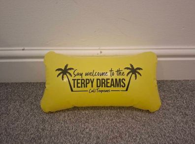 Blow Up Pillow