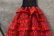 Flamenco costume