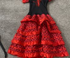 Flamenco costume