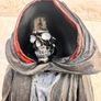 Stargate SG-1 Ascended Anubis Exclusive Action Figure action figure approx. 16 cm. Used Please see photos Image 3
