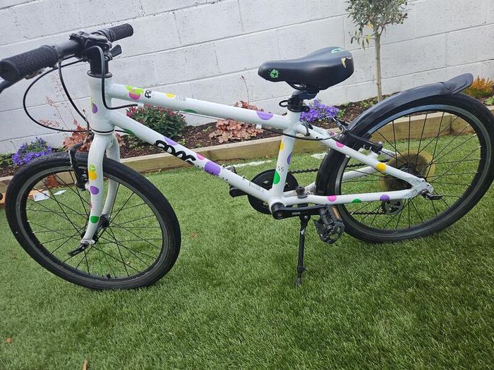 Frog bike
