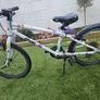 Frog bike Image 2