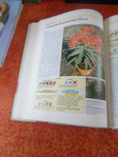 The Complete Guide to Healthy Houseplants Book for sale