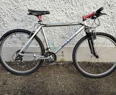 Retro Sintesi Thruster mountain bike