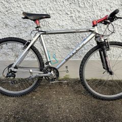Retro Sintesi Thruster mountain bike