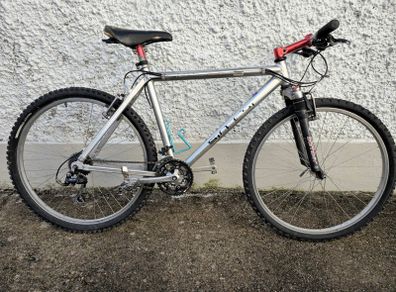 Retro Sintesi Thruster mountain bike