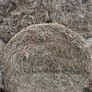Hay bales Image 4