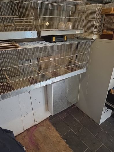 bird cage