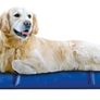 Pet Nova Dog Cooling Mat L 90x50cm Image 3