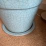 Plant pot Image 4