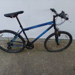 Teenager/young adult bike