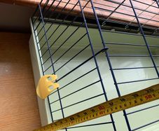 pet cage