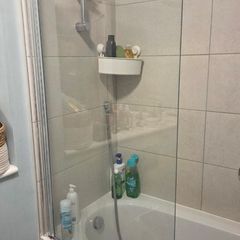 Shower screen